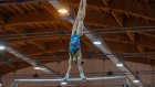 На всероссийскую спартакиаду в Пензу съедутся 200 юных гимнастов