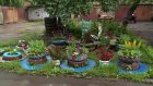 Жители дома на улице Терешковой превратили свой двор в цветник