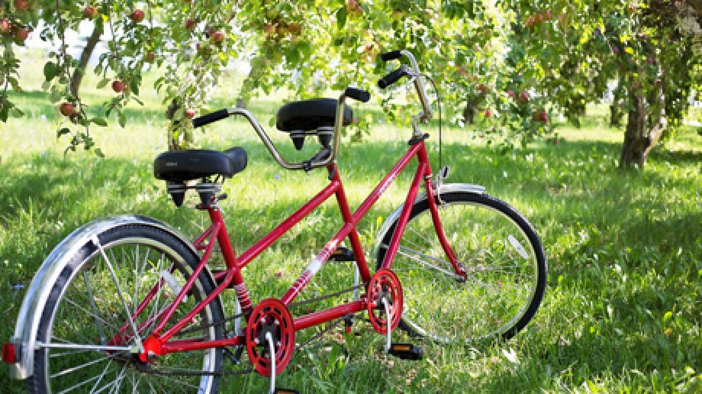 74-летний житель Заречного украл у женщины велосипед