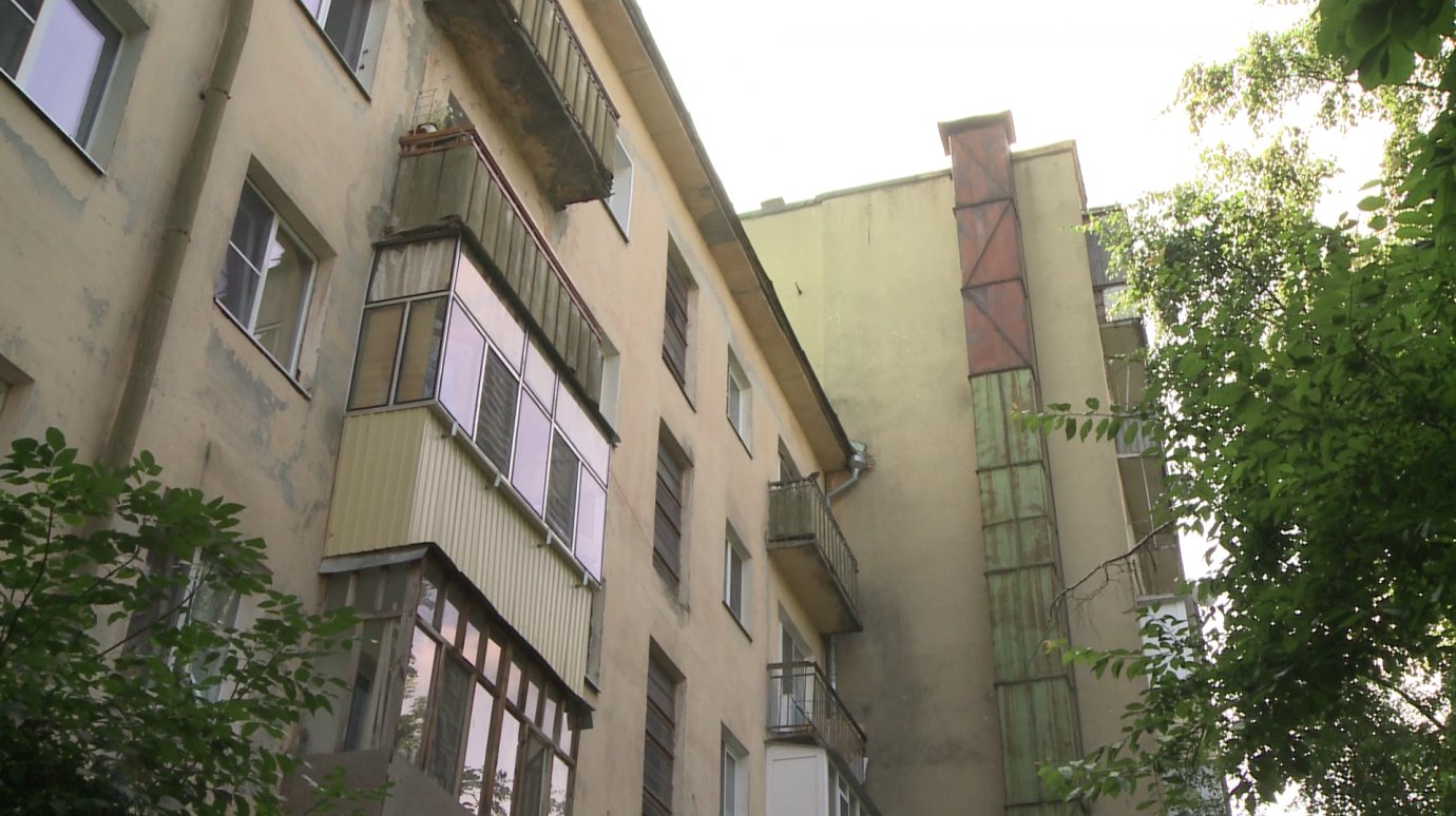 Блохи выживают пензенцев из квартир в доме на Московской