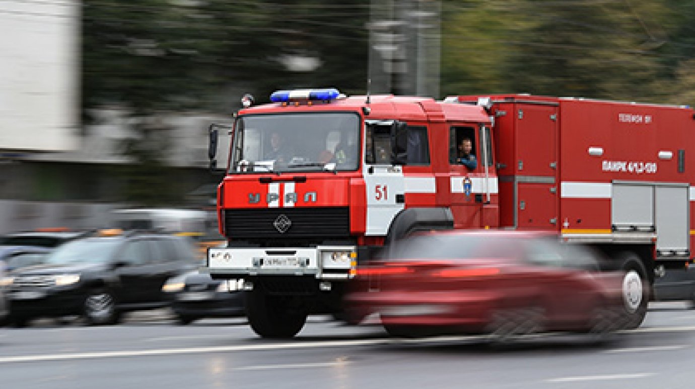 Калининградские пожарные спасли двухлетнего метателя кота и чайника