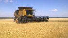 В Пензенской области намолочено свыше 1,7 млн тонн зерна