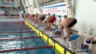 Окружные соревнования собрали в Пензе 650 пловцов