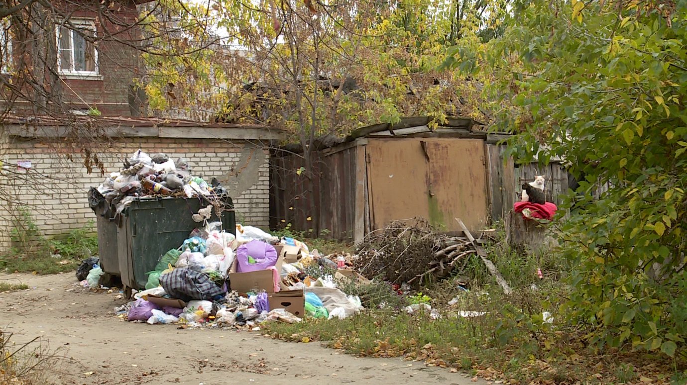 В районе Свинтреста две недели не вывозят мусор