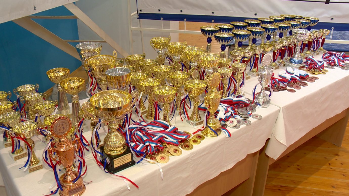 Кубок области по кудо собрал в Пензе более 160 спортсменов