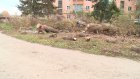 Жители ул. Вяземского против складирования мусора на своей территории