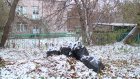 Пензенцы приносят домашний мусор к куче срубленных веток на Суворова
