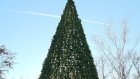 На Фонтанной площади установят новую праздничную елку