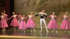 Пензенцы оценили русский классический балет «Лебединое озеро»