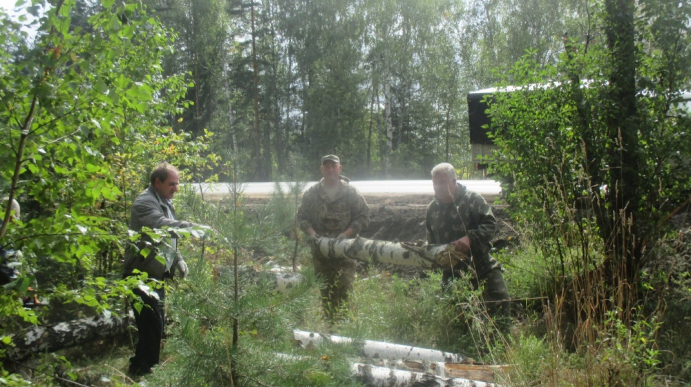 В Чаадаевском лесничестве расчистят участок вдоль трассы «Урал»