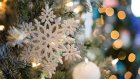 25 декабря - Рождество и Ханука