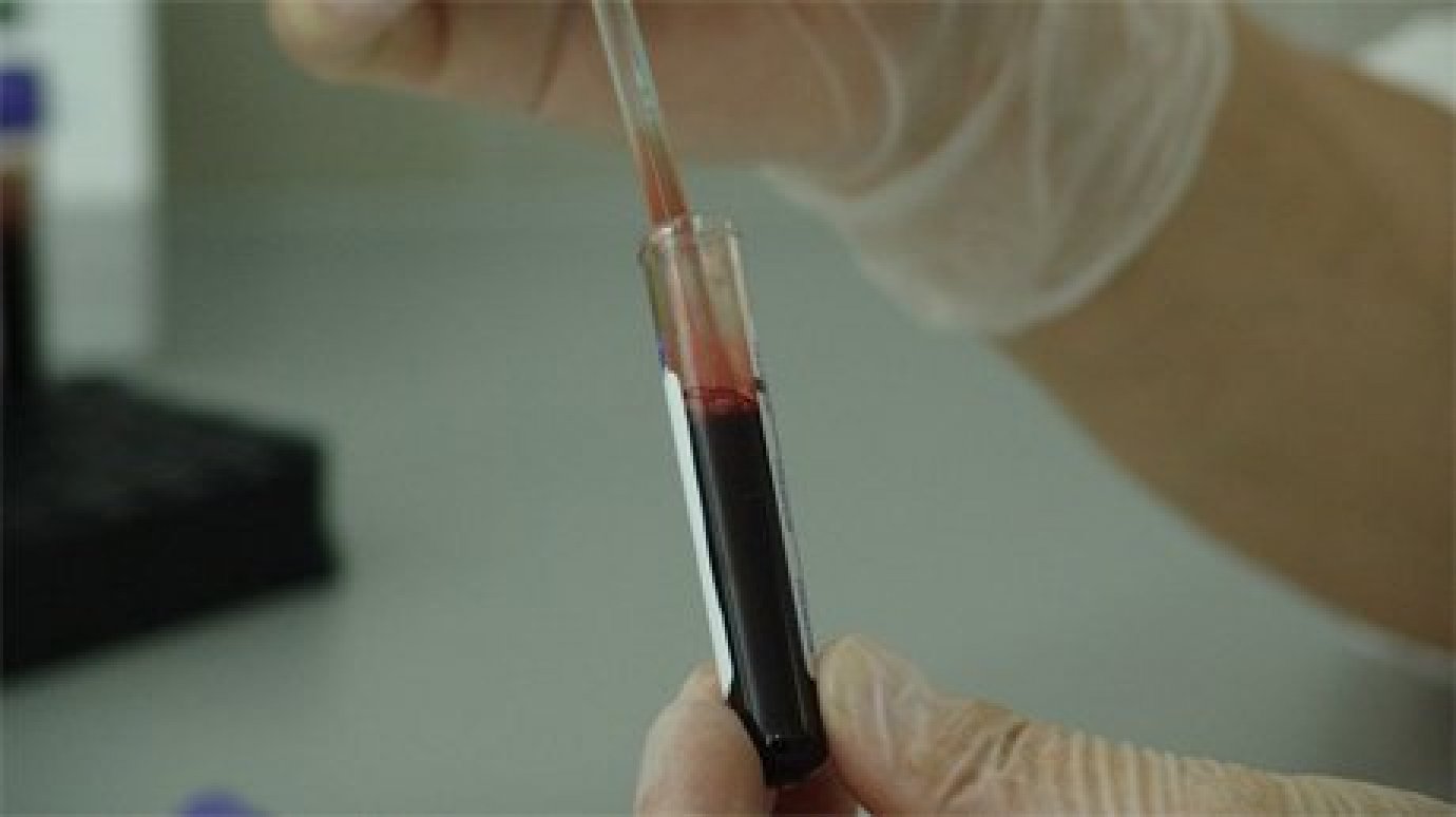 В поликлинике на Стасова откроют еще три кабинета для сдачи крови на анализ