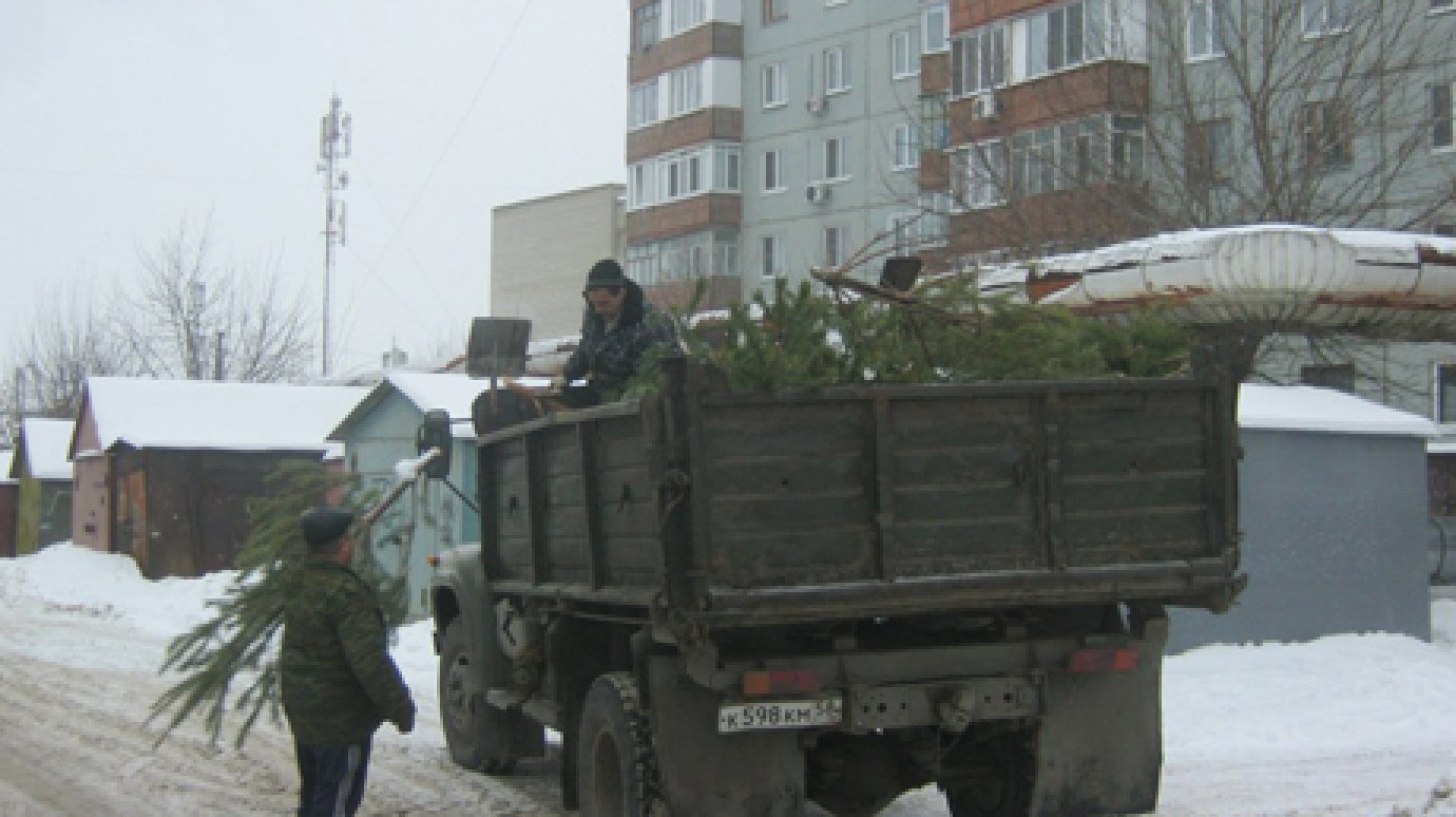Свалка выброшенных елок на ул. Клары Цеткин ликвидирована