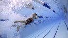 Пензенские пловцы выступят на областном чемпионате и первенстве