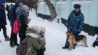 Пензенские кинологи провели для школьников занятие с собаками