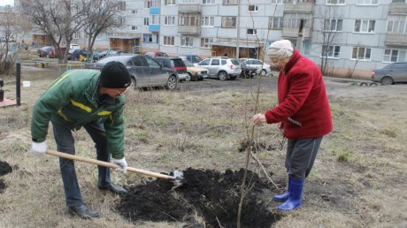 Месячник по благоустройству стартует в Пензенской области 20 марта