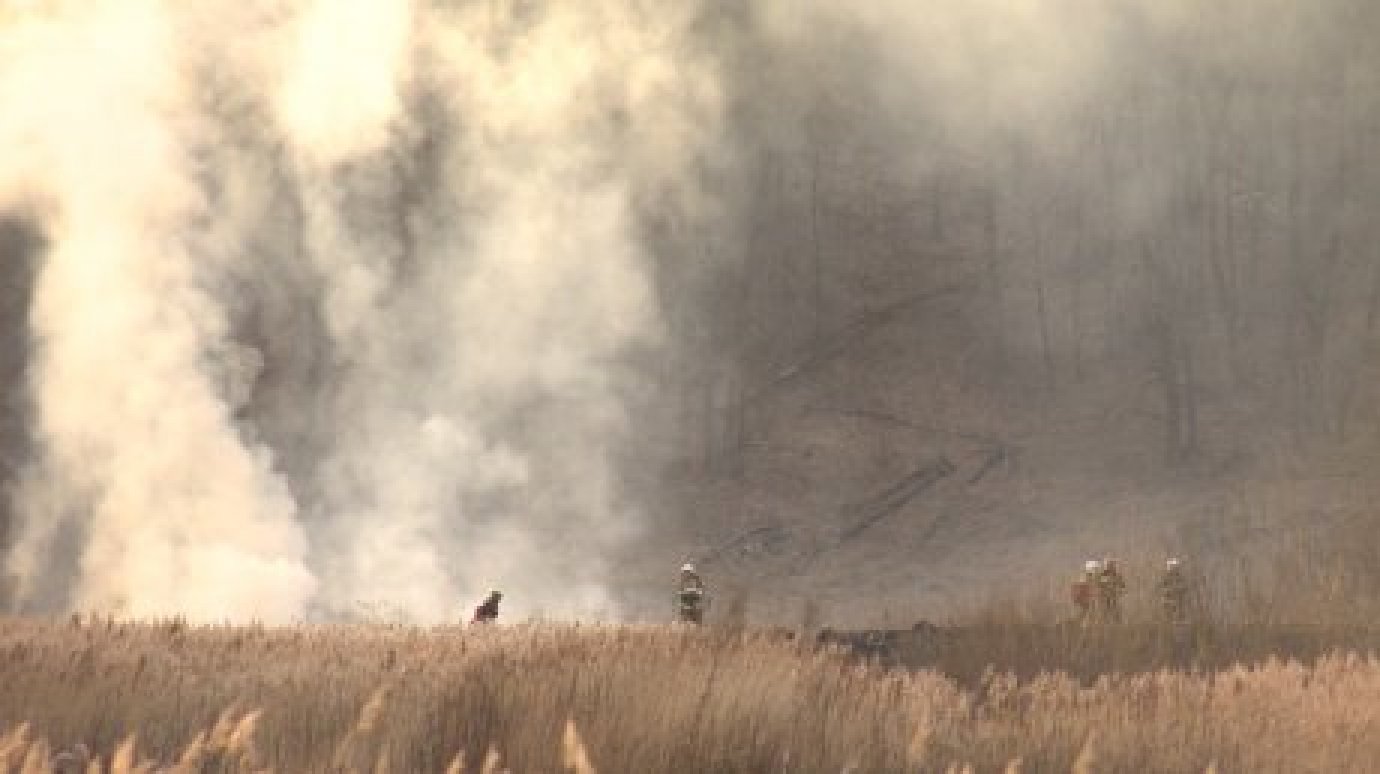 С 15 апреля в Пензенской области объявлен пожароопасный сезон