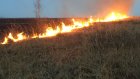 В Пензенской области за три дня произошло 147 возгораний травы и мусора