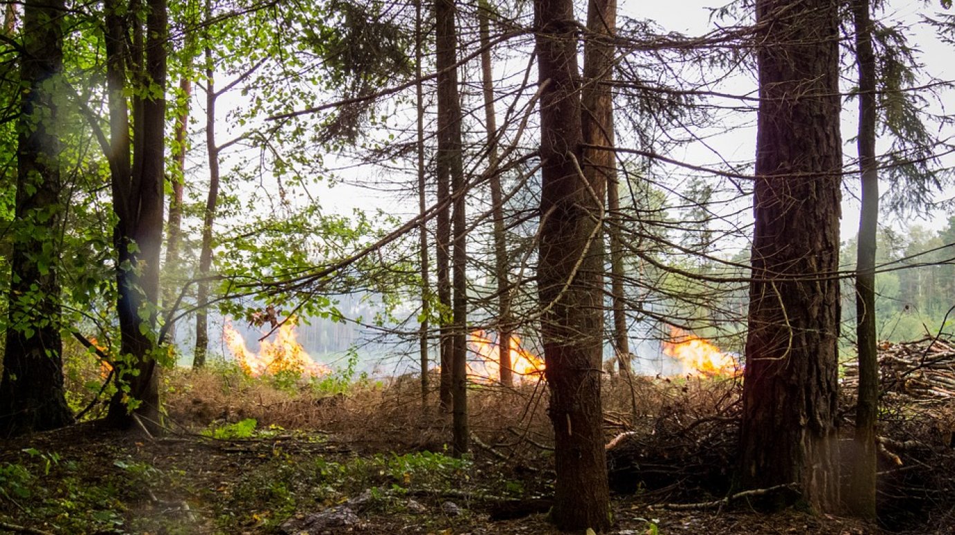 Сотрудники МЧС потушили пожар в Ахунско-Ленинском лесничестве