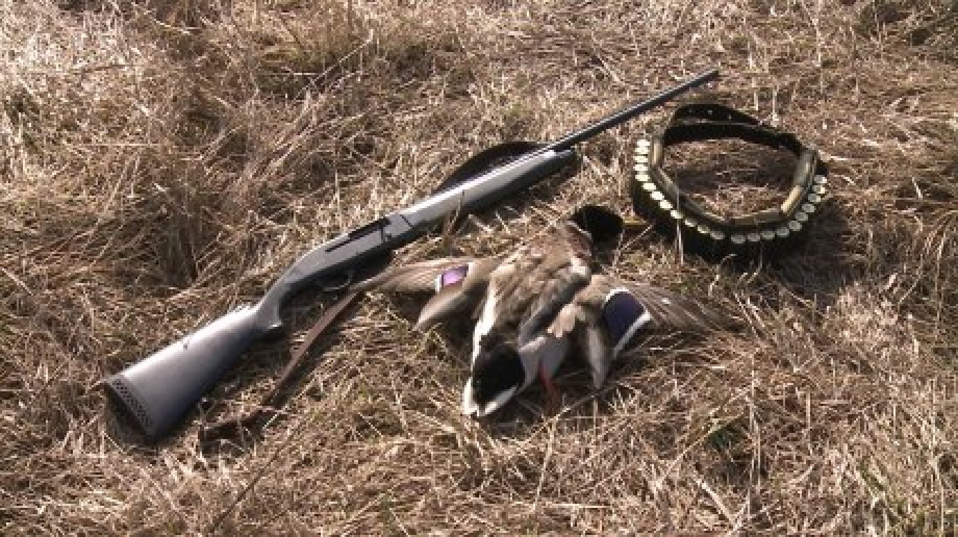 В Белинском районе охотоведы задержали двух браконьеров