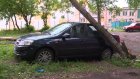 На ул. Экспериментальной два дерева рухнули на машину