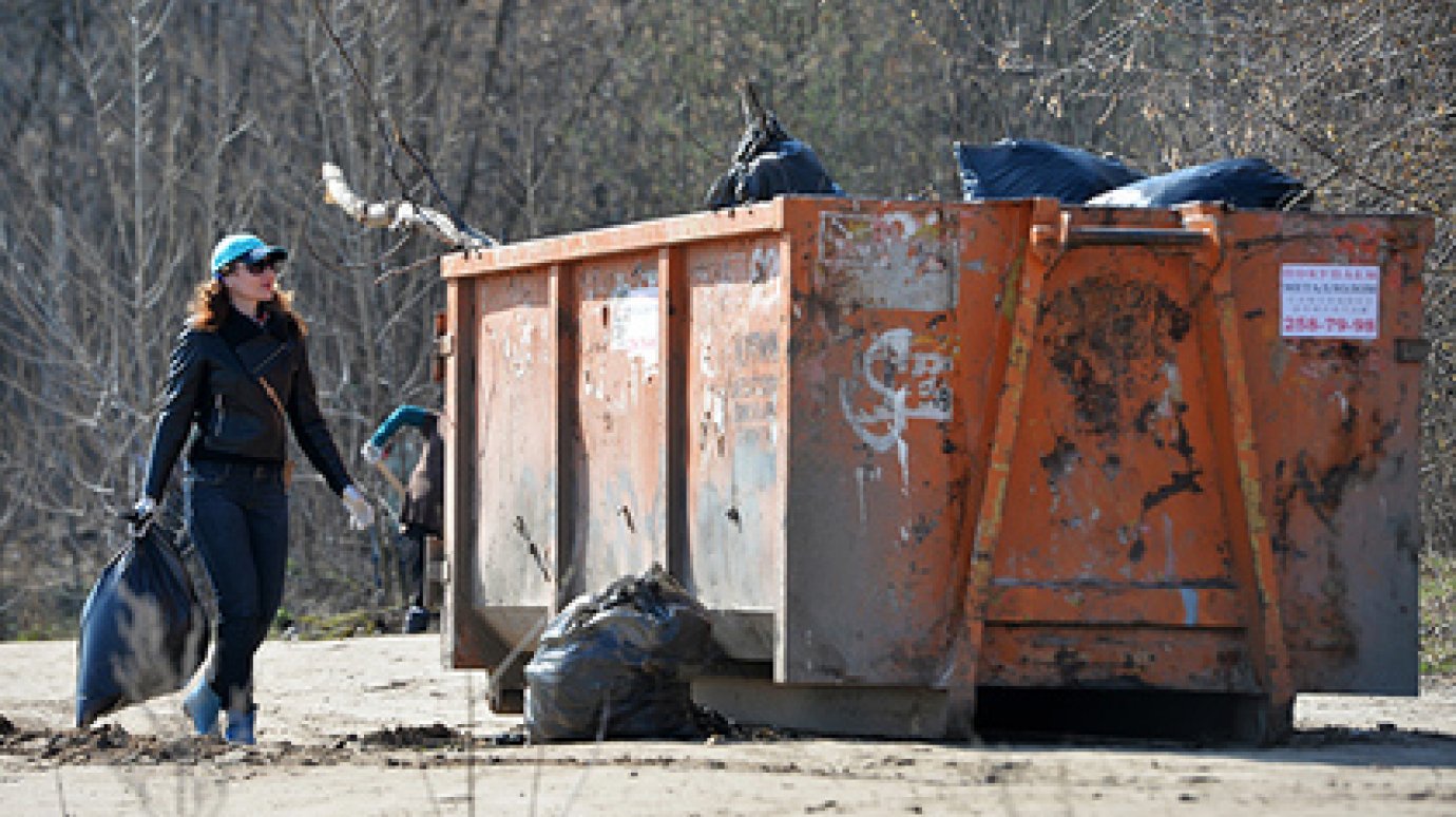Правительство поддержало идею разрешить россиянам продавать мусор