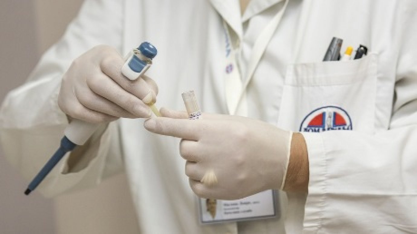 В Пензенской области зарегистрировали 520 пострадавших от укусов клещей