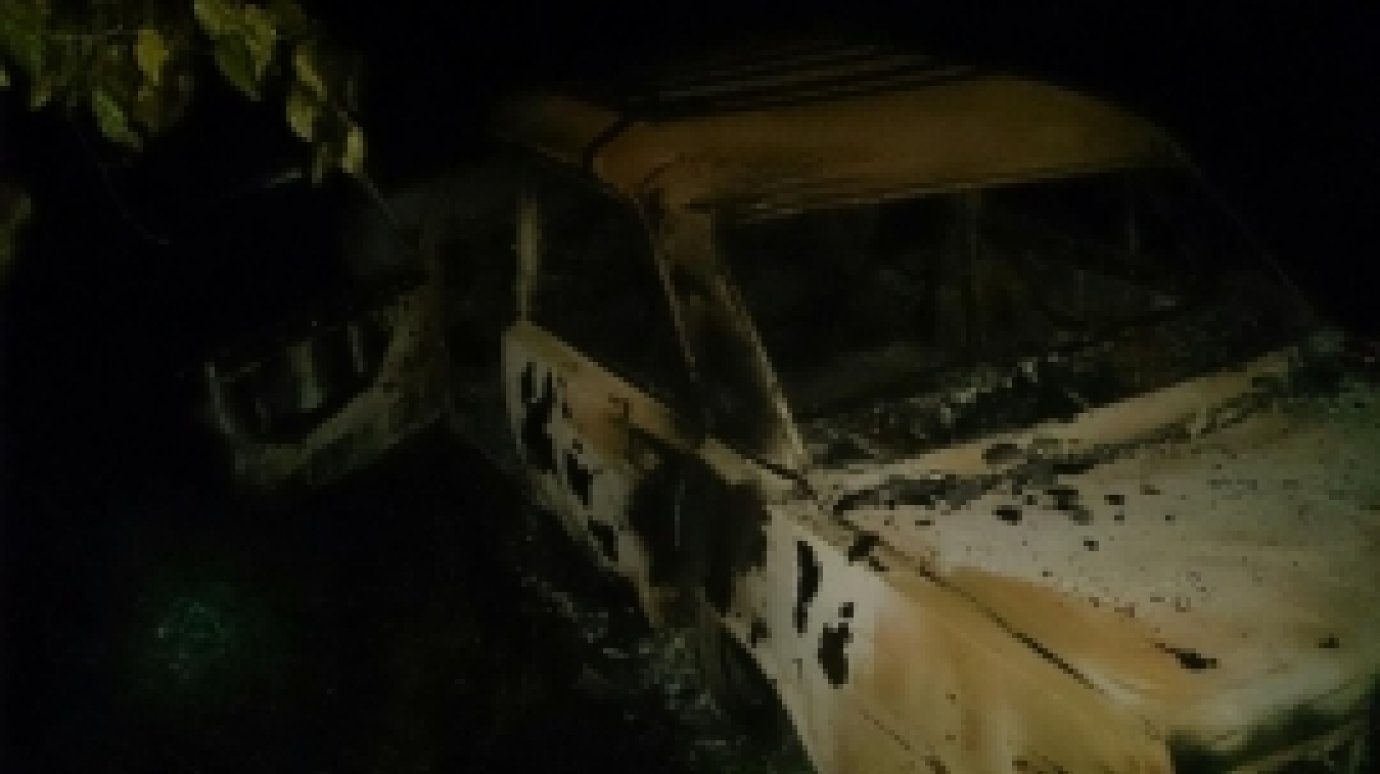 На Светлой Поляне сгорела машина с 11-летним ребенком