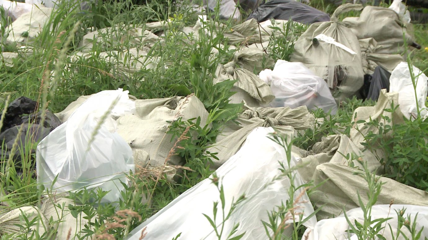 Участники экологической акции рассортировали собранный мусор