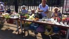 В Пензе садоводам выделят места для продажи овощей и фруктов