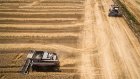 В России спрогнозировали рекордный урожай зерна