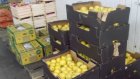 В Пензе было изъято и уничтожено 200 кг польских яблок