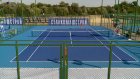 Пензенские теннисисты успешно выступают на первенстве области