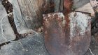 В Наровчатском районе оштрафован сельчанин, ударивший собаку лопатой