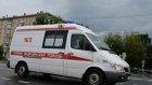 От укусов ос в Москве пострадали 19 воспитанников детсада