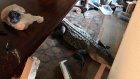 Трехметровый аллигатор поджидал американца в гостиной после «Харви»