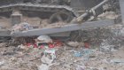 В Чемодановке уничтожили более 96 кг украинских груш и перца