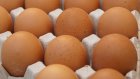 В области торговали куриным мясом и яйцами с антибиотиком