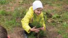 В Пензенской области завершилась Всероссийская акция «Живи, лес!»