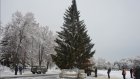 На главной площади Кузнецка установили 13-метровую елку