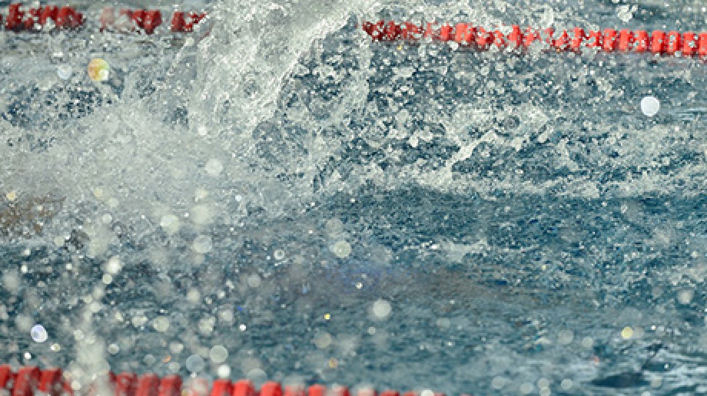 Пловцы из Пензы завоевали медали на чемпионате мира среди военнослужащих