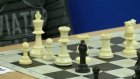 В Пензе провели шахматный турнир «Волшебное королевство»