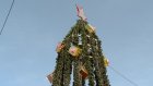 Пензенцев удивляет до сих пор наряженная новогодняя елка в Терновке