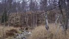 Очередной турист бесследно пропал на перевале Дятлова