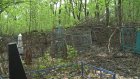 Спиленное дерево уничтожило могилу на Мироносицком кладбище