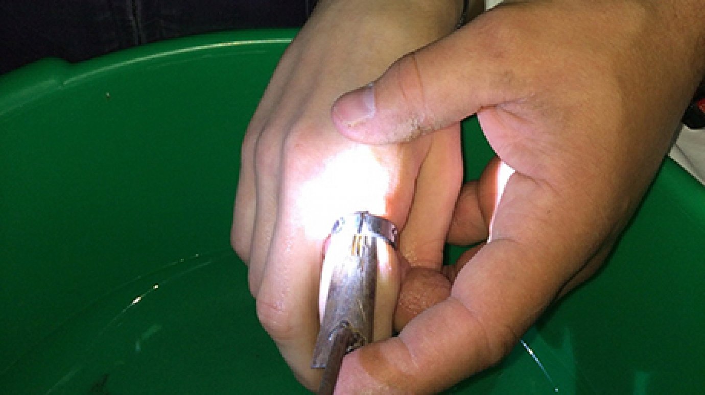В Пензе подросток надел на палец кольцо подшипника и попал в больницу