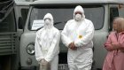 В Пензенской области объявлен карантин по птичьему гриппу