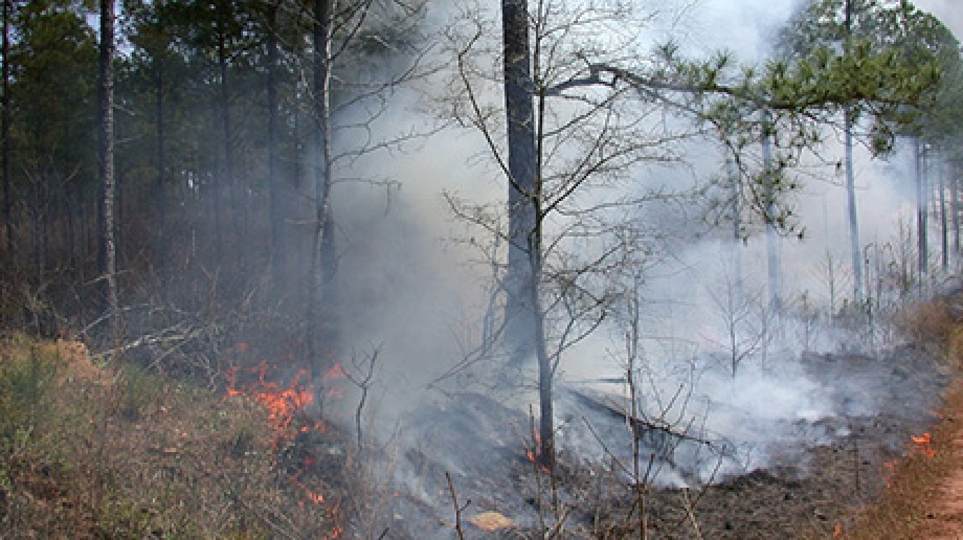 В Городищенском районе потушили природный пожар