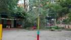 В Заречном дерево упало на веранду детского сада