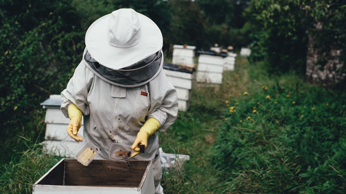 Лучшие в пчеловодстве